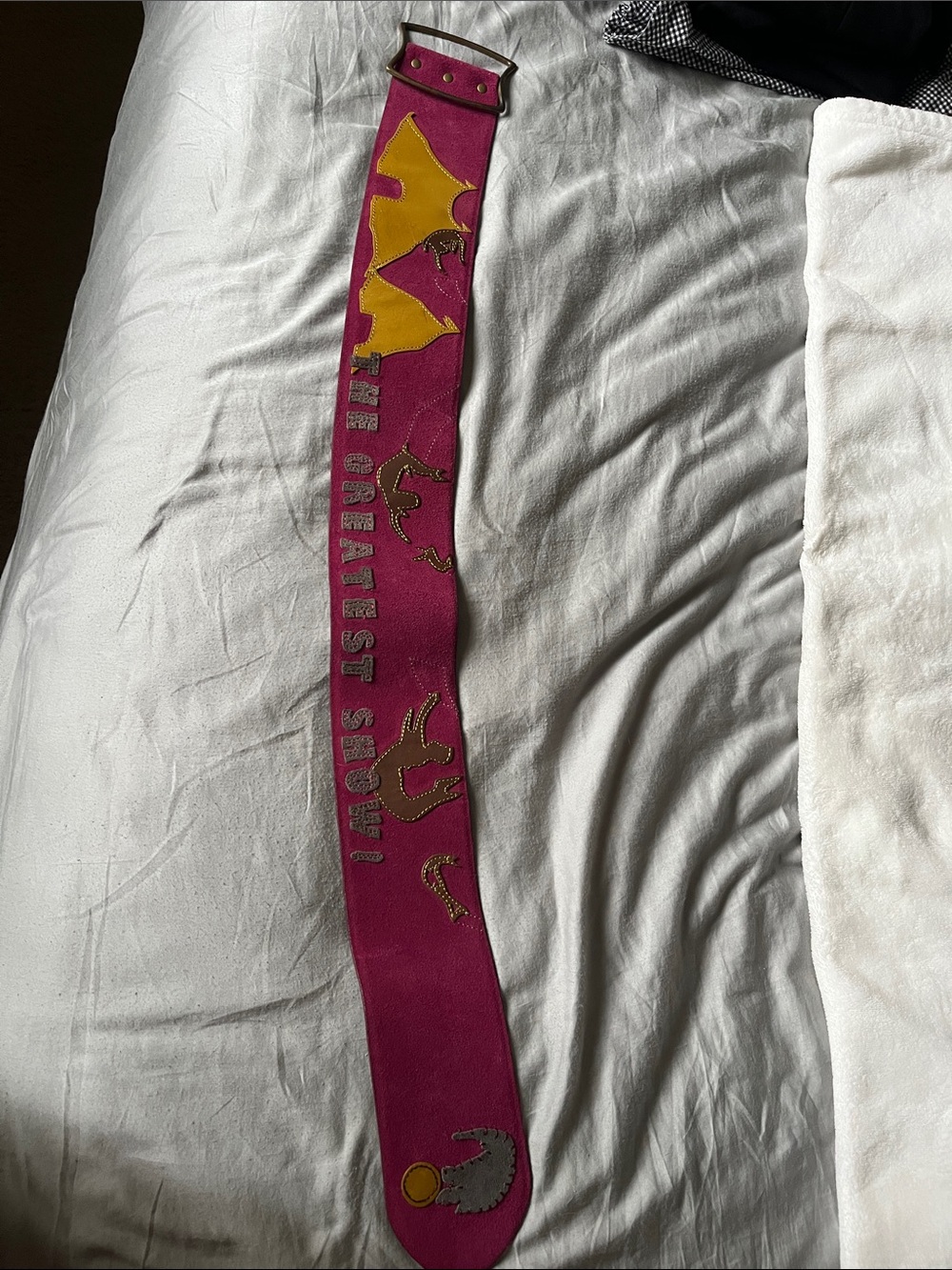Anthropologie Magenta and Yellow Belt
The Greatest Show belt